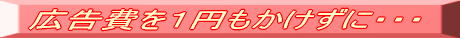 広告費を1円もかけずに‥・